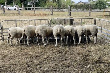 Sunday 6th September 2026 - Entries