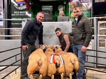 Christmas Show & Sales 2026