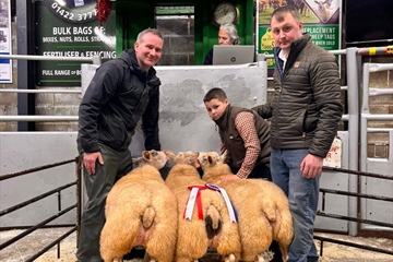 Christmas Show & Sales 2026