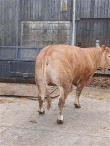 Tuesday 2nd June 2026