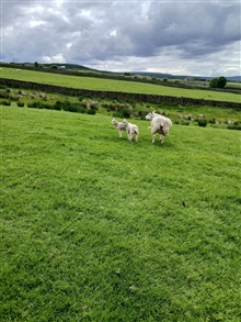 Tuesday 2nd June 2026