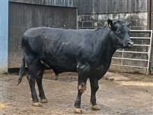 Tuesday 9th June 2026
