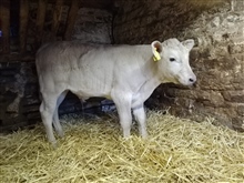 Tuesday 9th June 2026