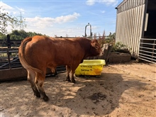 Tuesday 28th July 2026