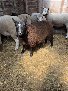 Tuesday 28th July 2026