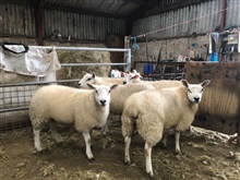 Tuesday 27th October 2026