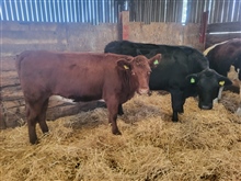 Tuesday 27th October 2026