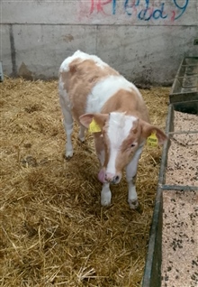 Tuesday 25th October 2026